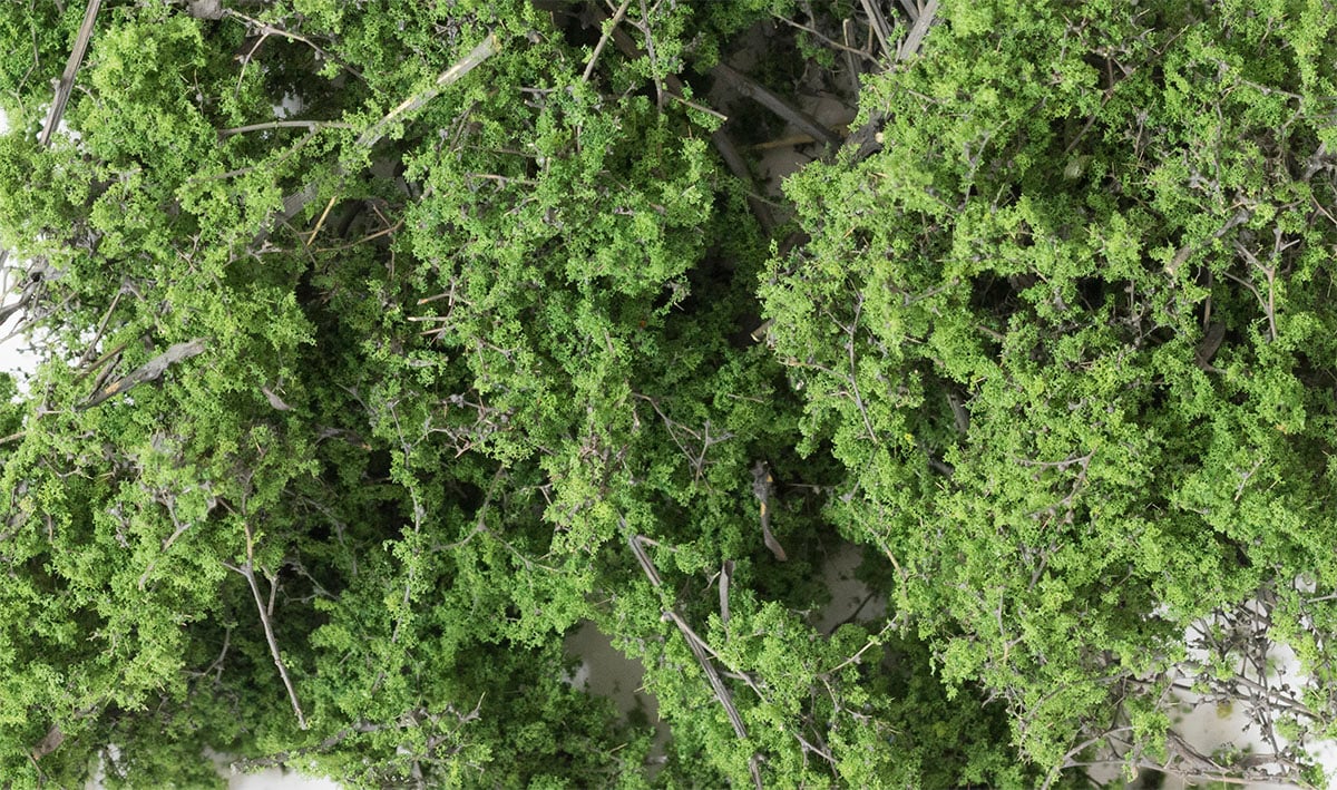 Woodland - Fine Leaf Foliage(TM) - 75 Cu. In. 1.2 Cu. m. - Light Green